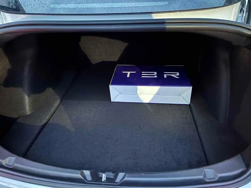 TESLA MODEL 3 STANDARD RANGE PLUS Thumbnail 9