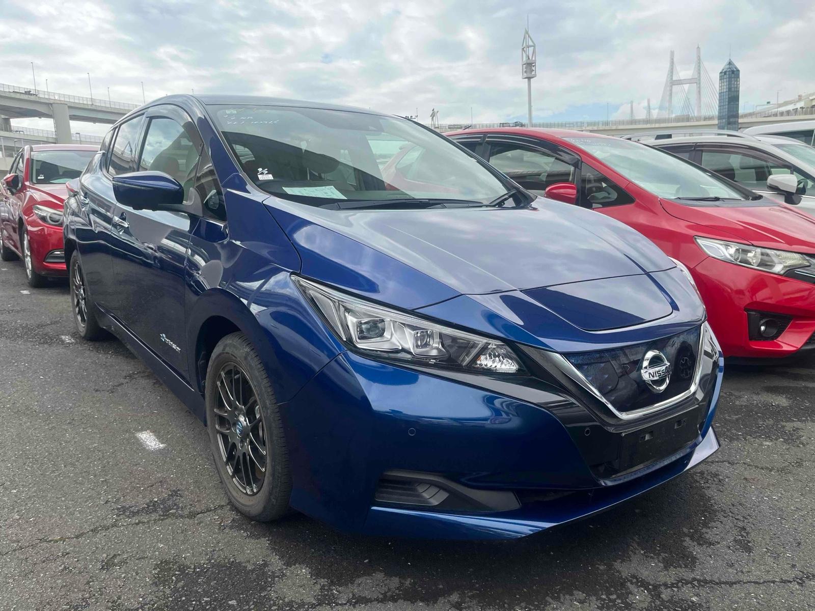 2021 Nissan LEAF 6,000 km