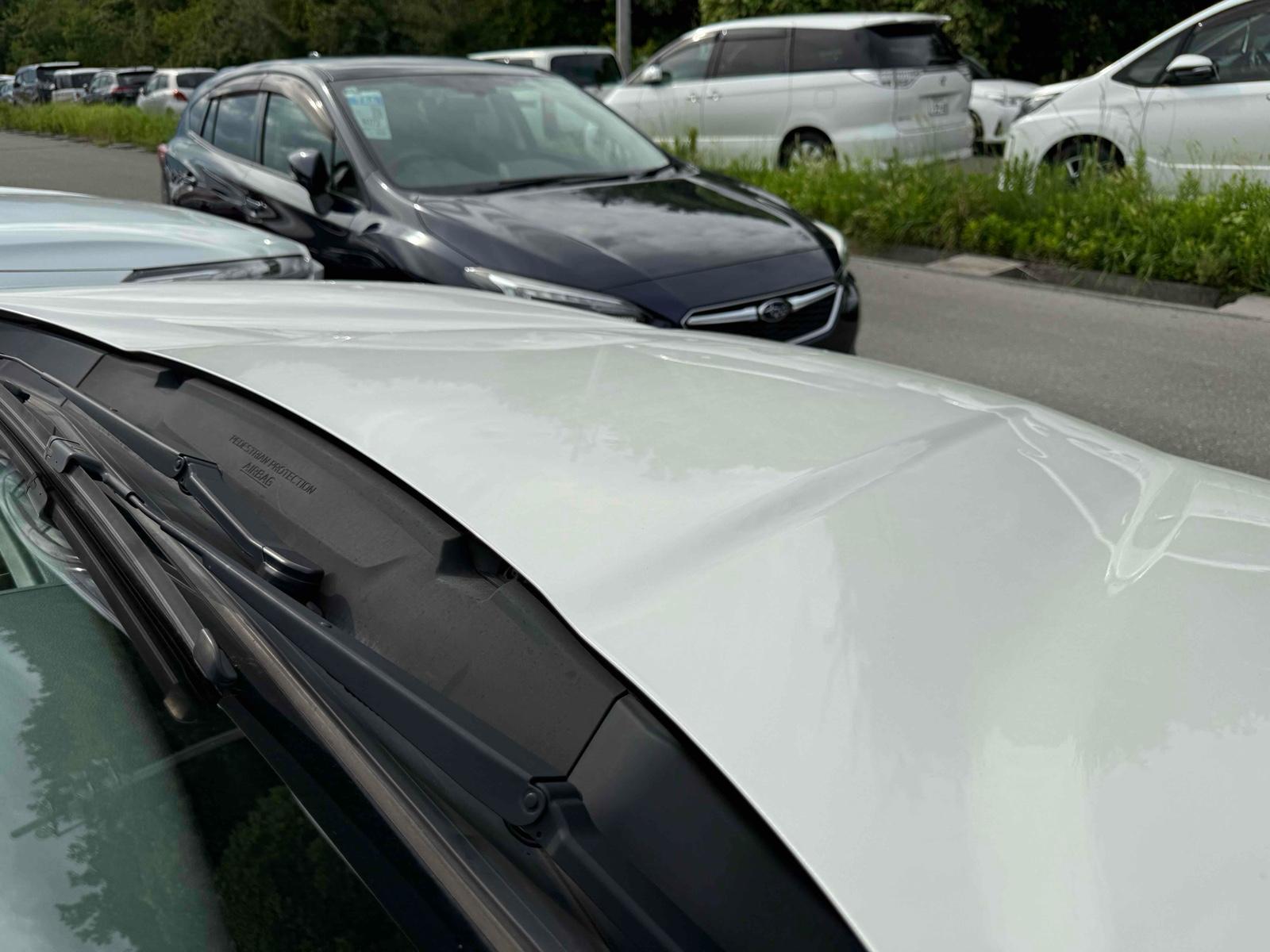 SUBARU FORESTER ADVANCE 4WD HYBRID Image 22