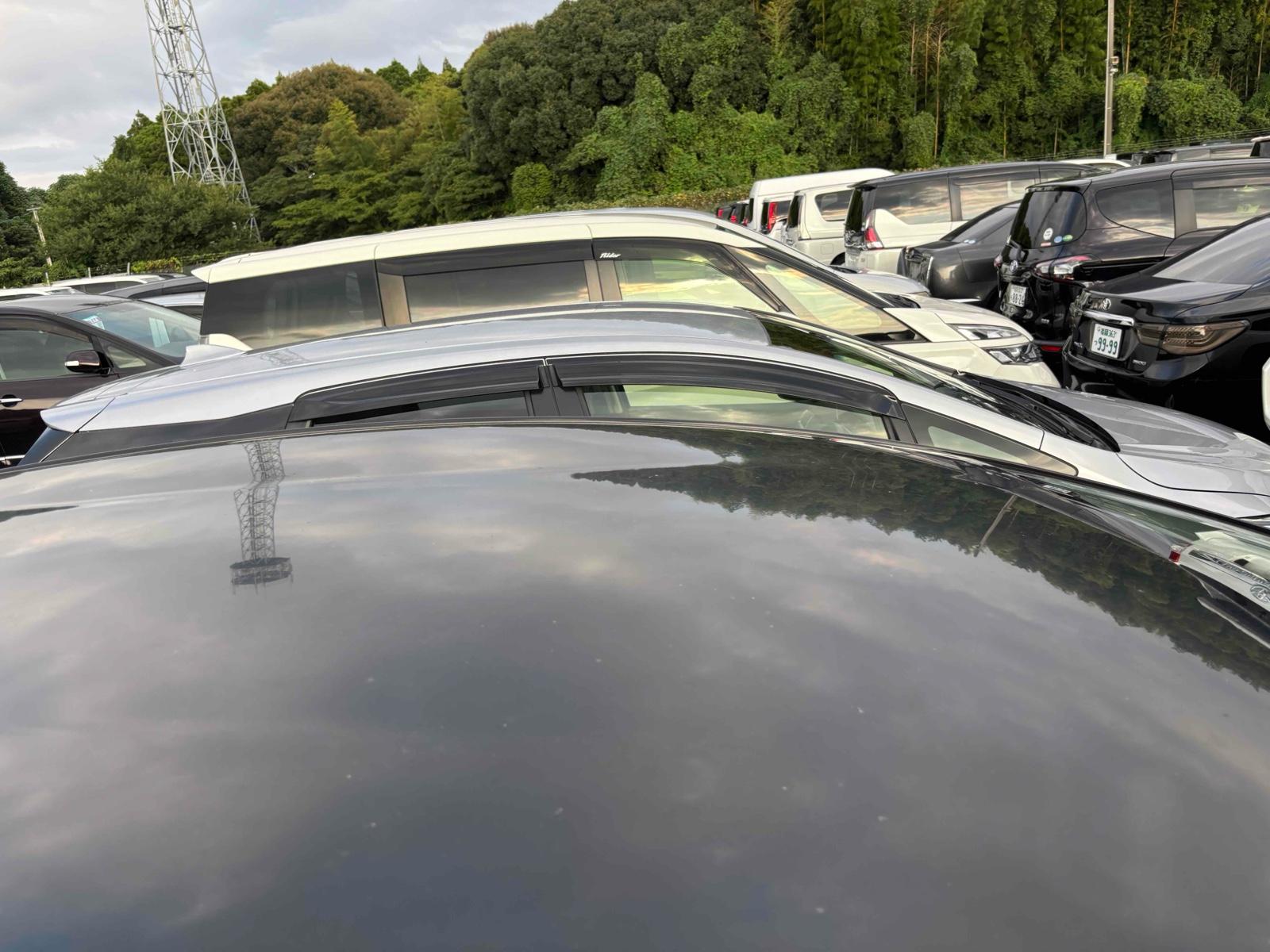 TOYOTA PRIUS ALPHA S Image 15
