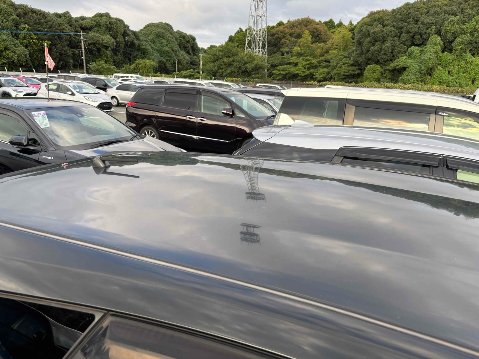 TOYOTA PRIUS ALPHA S Image 16