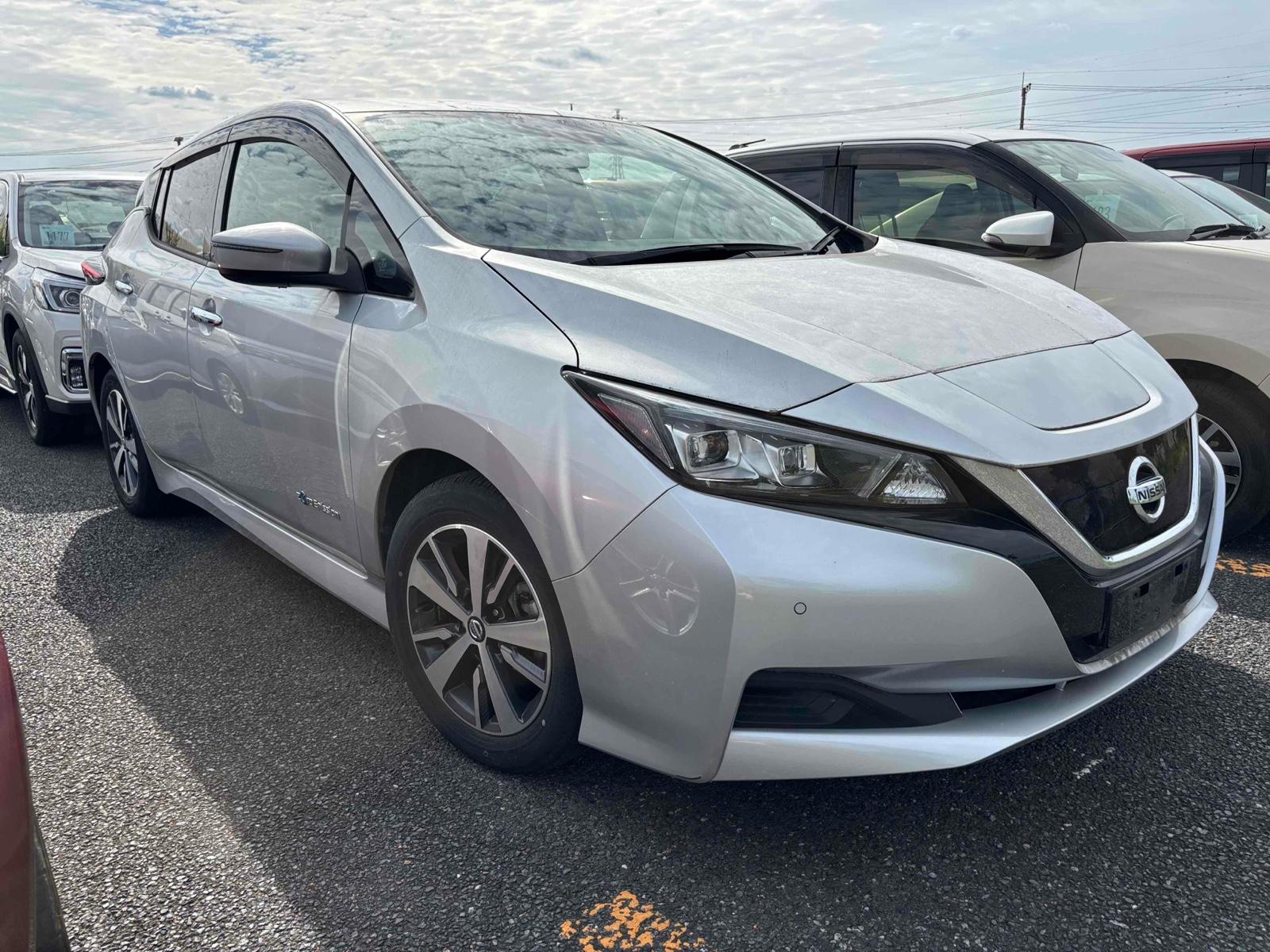 2020 Nissan LEAF 13,000 km