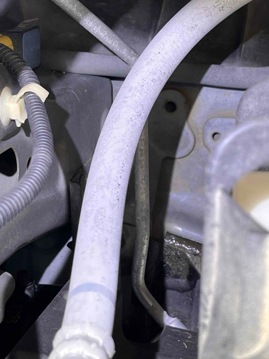 HONDA GRACE HYBRID EX Image 15