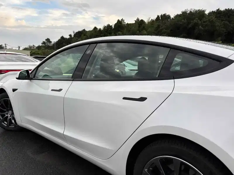 TESLA MODEL 3 STANDARD RANGE PLUS Image 10