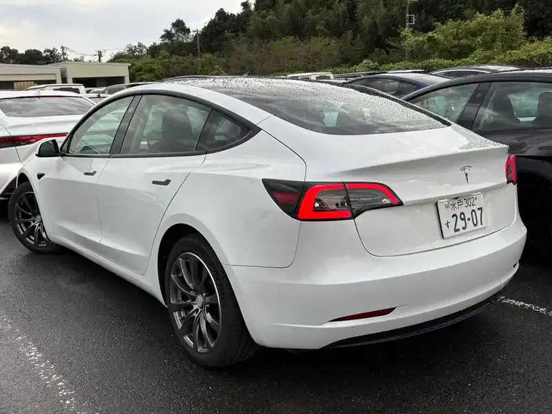 TESLA MODEL 3 STANDARD RANGE PLUS Image 2