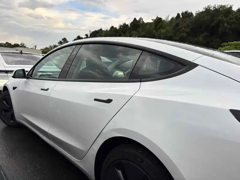 TESLA MODEL 3 STANDARD RANGE PLUS Image 11