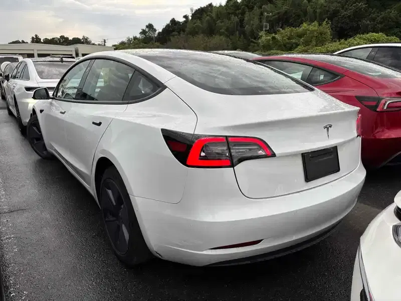 TESLA MODEL 3 STANDARD RANGE PLUS Image 2