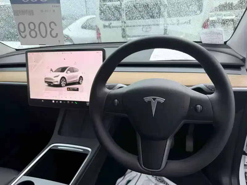 TESLA MODEL Y RWD Image 10
