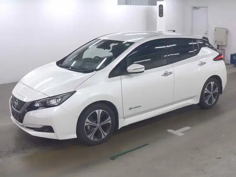 NISSAN LEAF X 10 THOUSAND UNITS MEMORIAL C Image 4