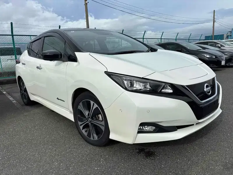 2019 Nissan LEAF 70,000 km